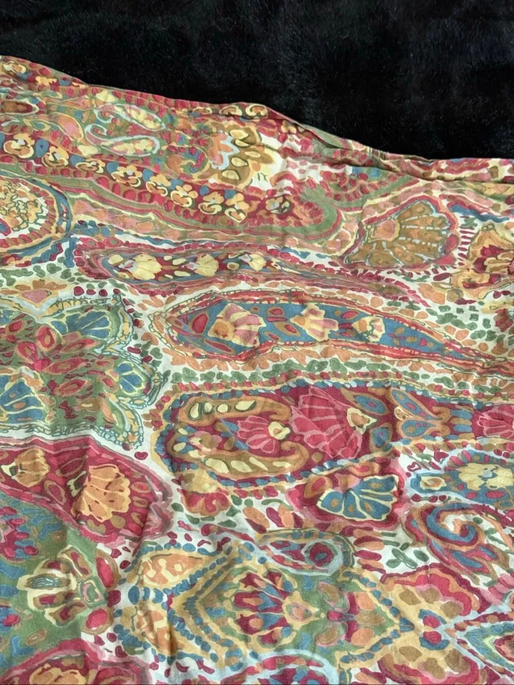 Pottery Barn Rosalie Warm Paisley king Duvet Cover Plus one EURO Sham